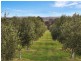 . Bramley River Road, Margaret River WA 6285