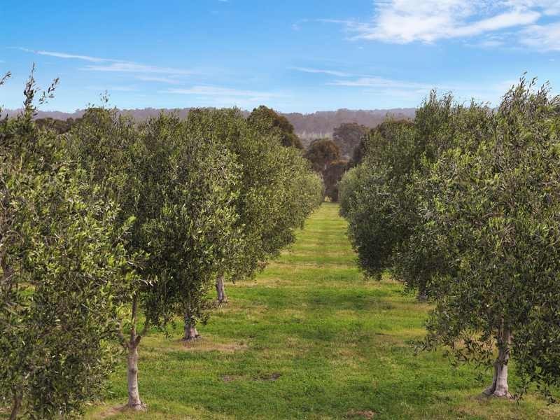 . Bramley River Road, Margaret River WA 6285
