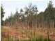 . Bramley River Road, Margaret River WA 6285