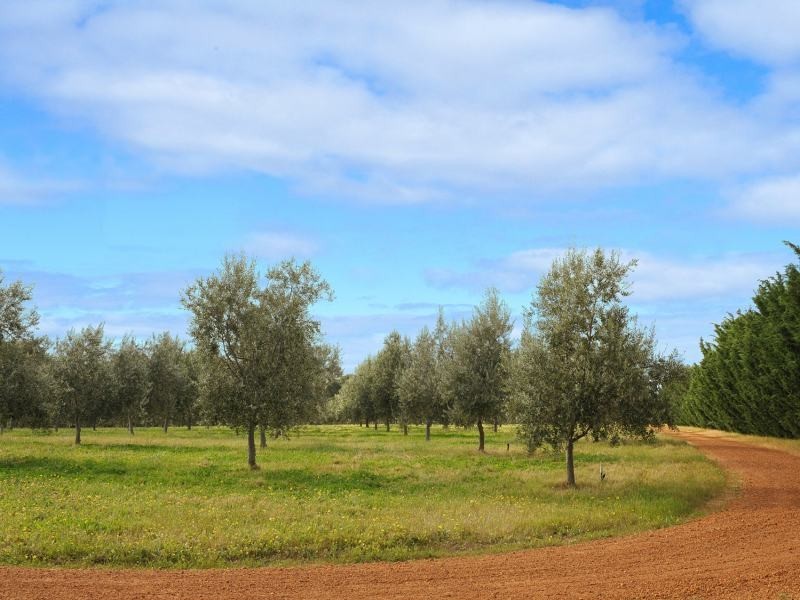 . Bramley River Road, Margaret River WA 6285