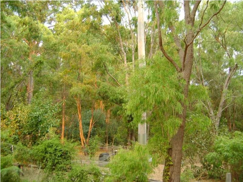 61 Bessell Road, Rosa Glen WA 6285