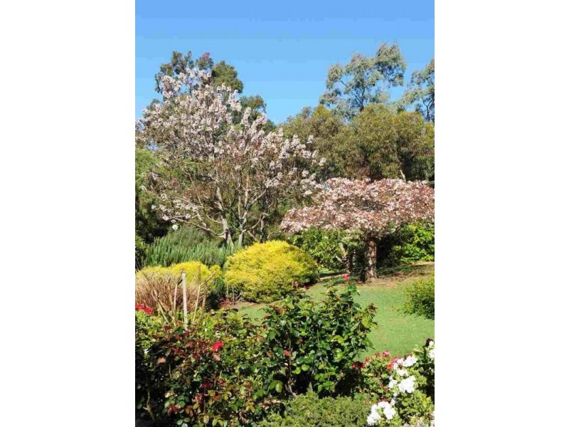 8 Illawarra Avenue, Margaret River WA 6285