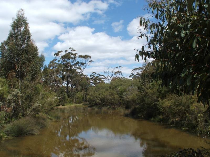Lot 66,  Timber Court, Cowaramup WA 6284