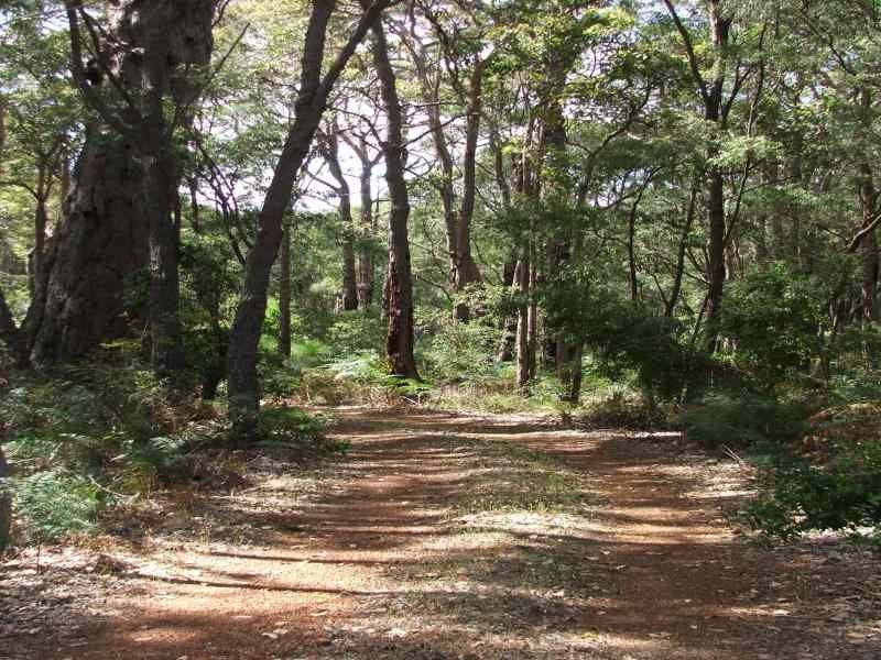 22 Woodland Drive, Margaret River WA 6285