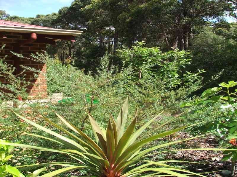 22 Woodland Drive, Margaret River WA 6285