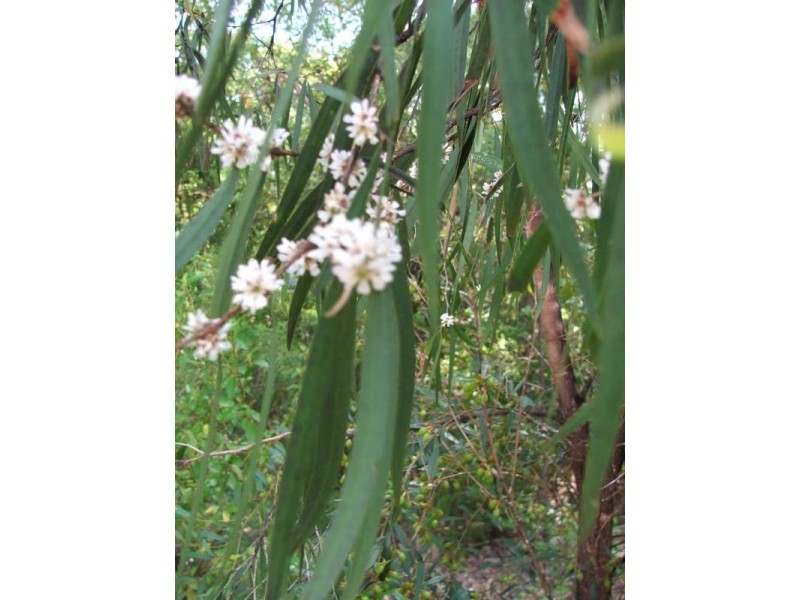 22 Woodland Drive, Margaret River WA 6285