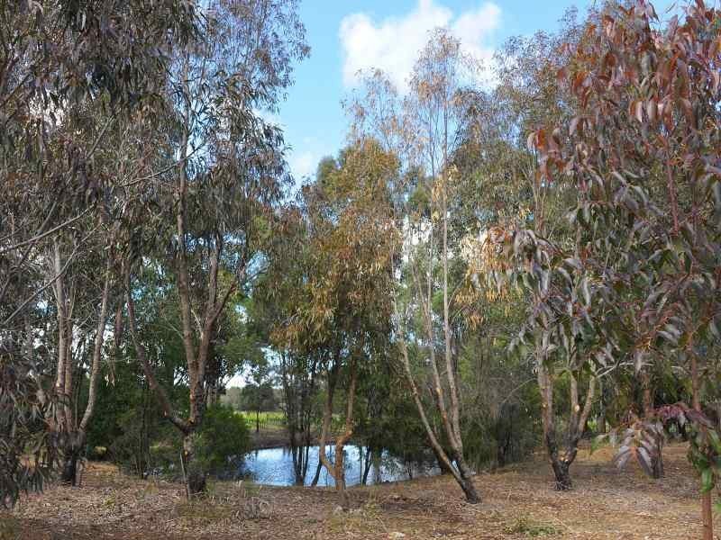 Lot 43 Mapstone Road, Margaret River WA 6285