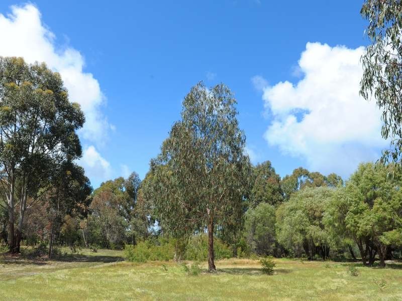 Lot 43 Mapstone Road, Margaret River WA 6285