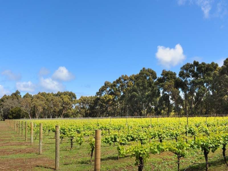 Lot 43 Mapstone Road, Margaret River WA 6285