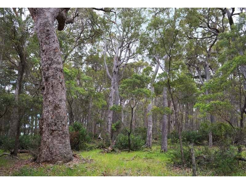Lot 1, 82 Redgate Road, Witchcliffe WA 6286