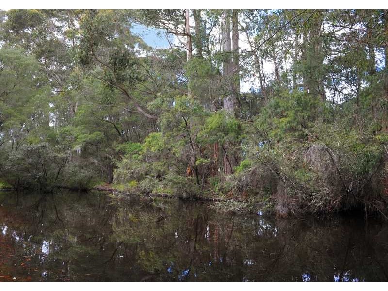 Lot 1, 82 Redgate Road, Witchcliffe WA 6286