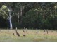 Lot 1, 82 Redgate Road, Witchcliffe WA 6286