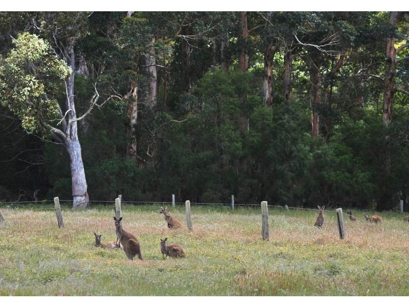 Lot 1, 82 Redgate Road, Witchcliffe WA 6286