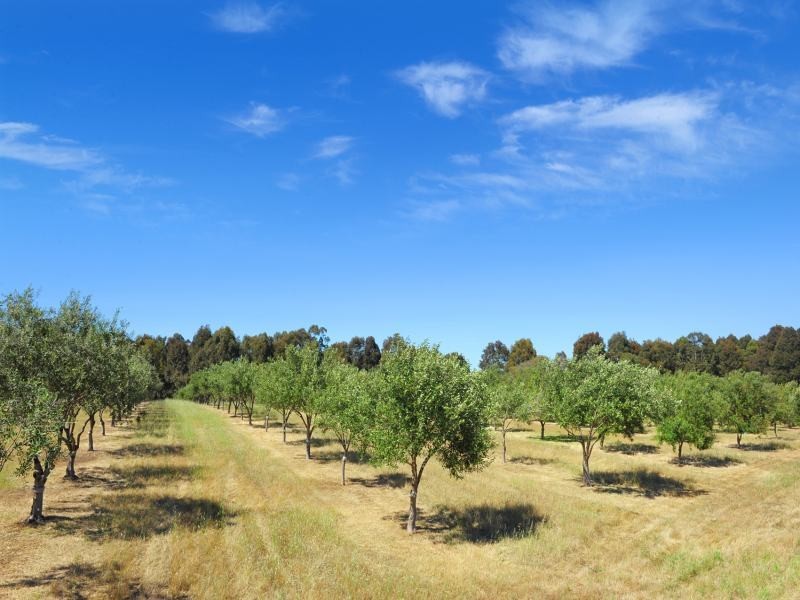 Proposed Lot 1045 Heron Drive, Margaret River WA 6285