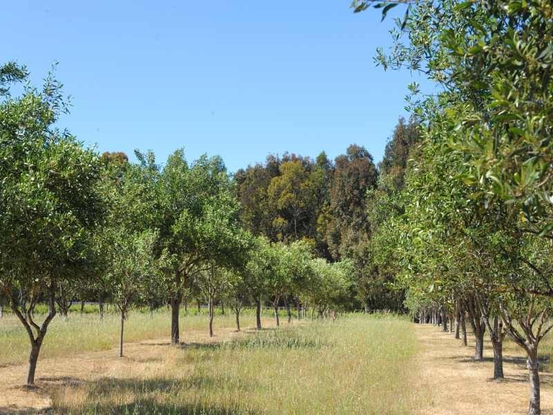 Proposed Lot 1045 Heron Drive, Margaret River WA 6285