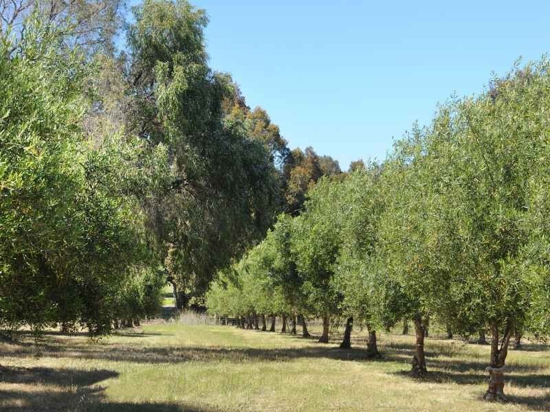 Proposed Lot 1046 Heron Drive, Margaret River WA 6285