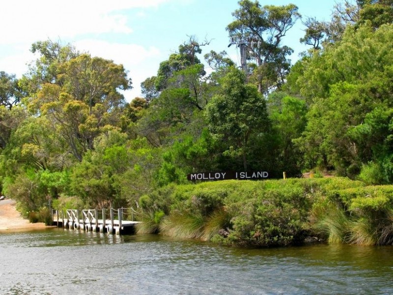 5 Dunkley Close, Molloy Island WA 6290