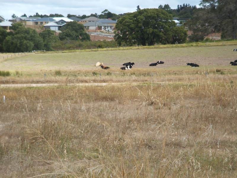 Lot 389,  Charles Hine Avenue, Margaret River WA 6285