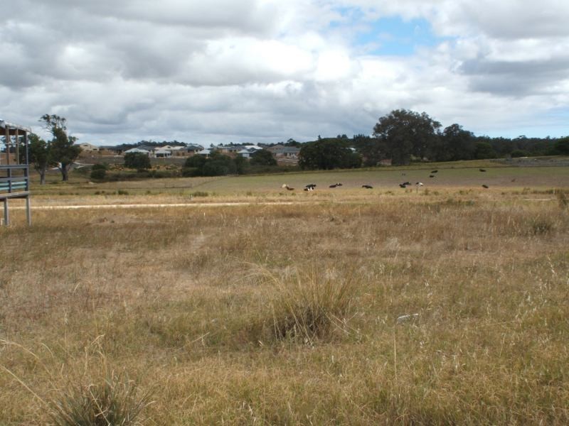 Lot 389,  Charles Hine Avenue, Margaret River WA 6285