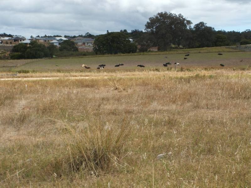 Lot 389,  Charles Hine Avenue, Margaret River WA 6285