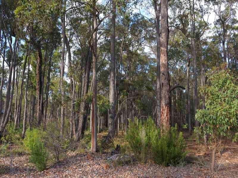 Lot 48,  Tinglewood Court, Cowaramup WA 6284