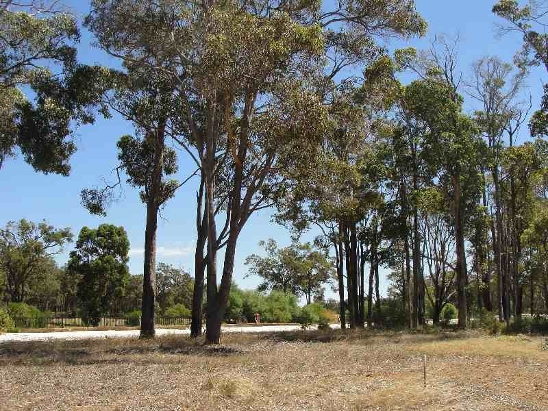 Lot 520 Goodwine Way, Cowaramup WA 6284