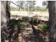 Lot 520 Goodwine Way, Cowaramup WA 6284