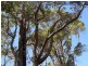 Lot 520 Goodwine Way, Cowaramup WA 6284