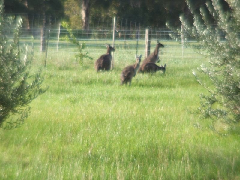 1016 Ridgeview Close, Margaret River WA 6285