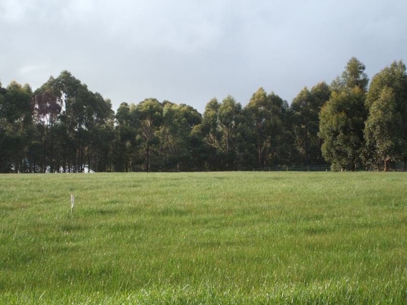 1016 Ridgeview Close, Margaret River WA 6285