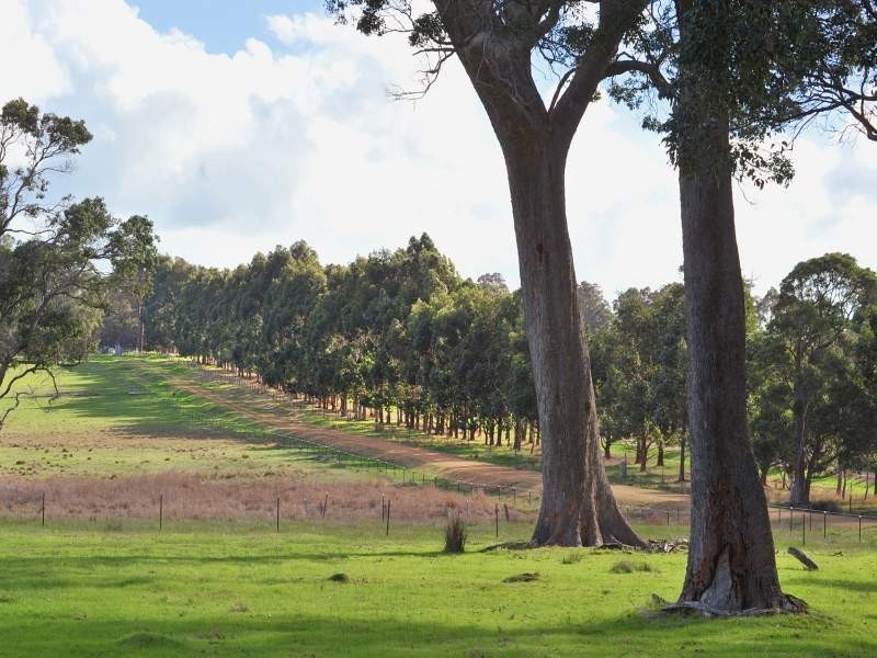 120 Darnell Road, Rosa Brook WA 6285