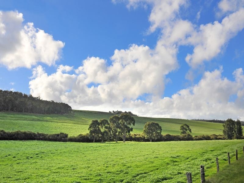 Lot 1 Bessell Road, Rosa Glen WA 6285