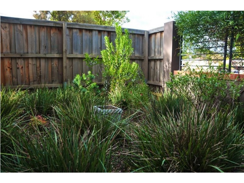 43/6 Tunbridge Street, Margaret River WA 6285