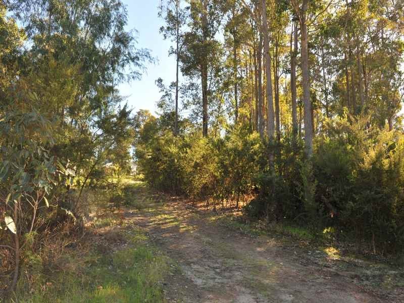 5 Bushland Rise, Margaret River WA 6285