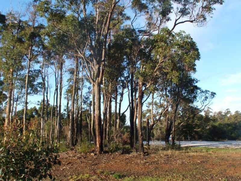 18 Goodwine Way, Cowaramup WA 6284