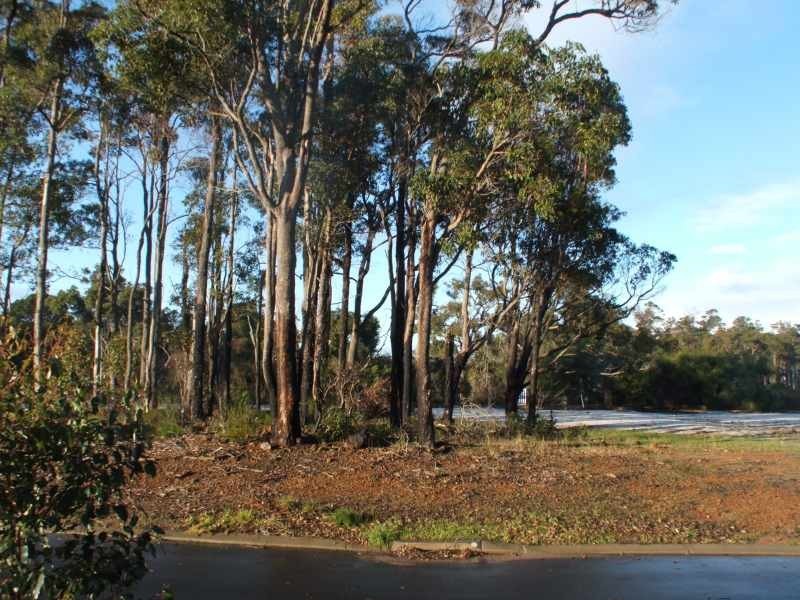 18 Goodwine Way, Cowaramup WA 6284