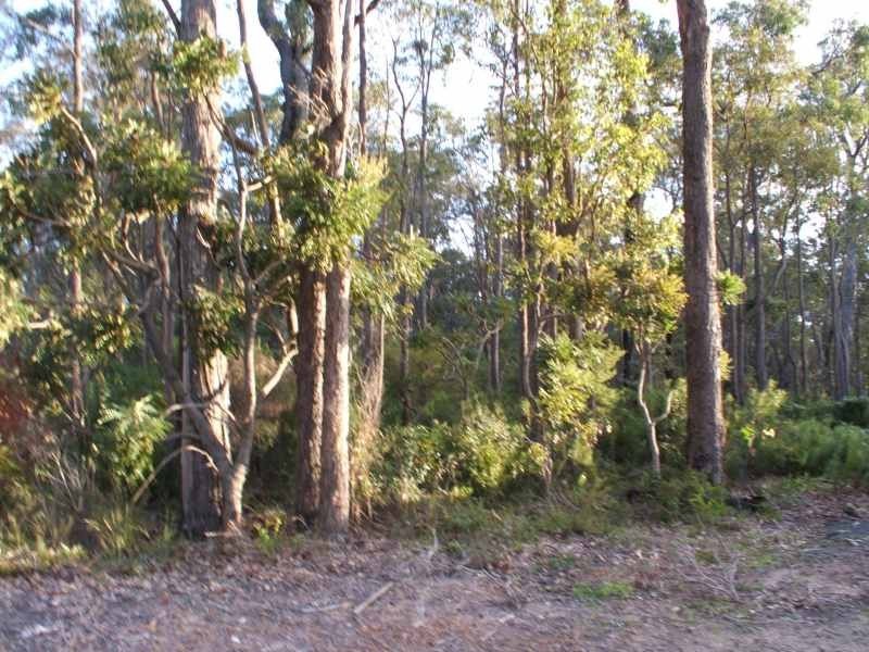 18 Goodwine Way, Cowaramup WA 6284