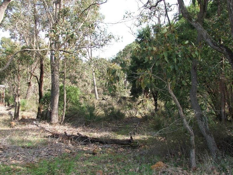 Lot 17 Honeytree Grove, Cowaramup WA 6284
