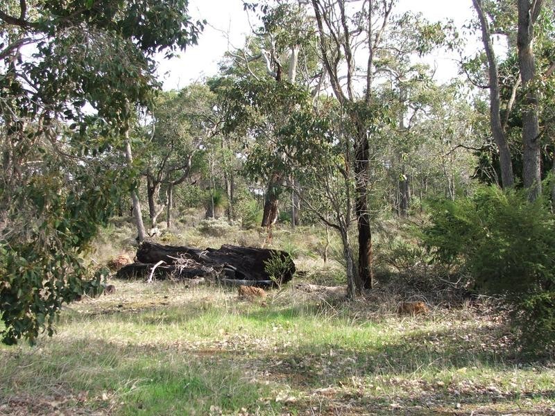 Lot 17 Honeytree Grove, Cowaramup WA 6284