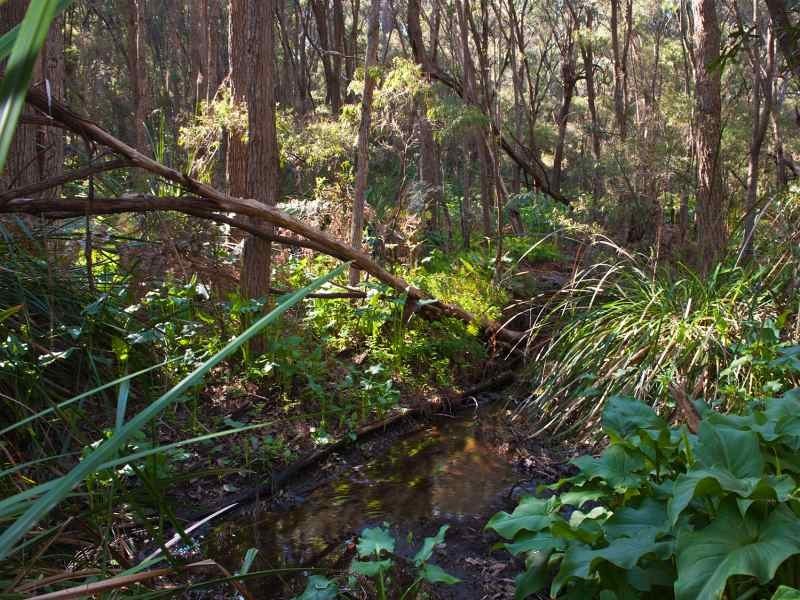 93 Connelly Road, Margaret River WA 6285