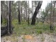 Lot (313), 17 Wandoo Place, Cowaramup WA 6284