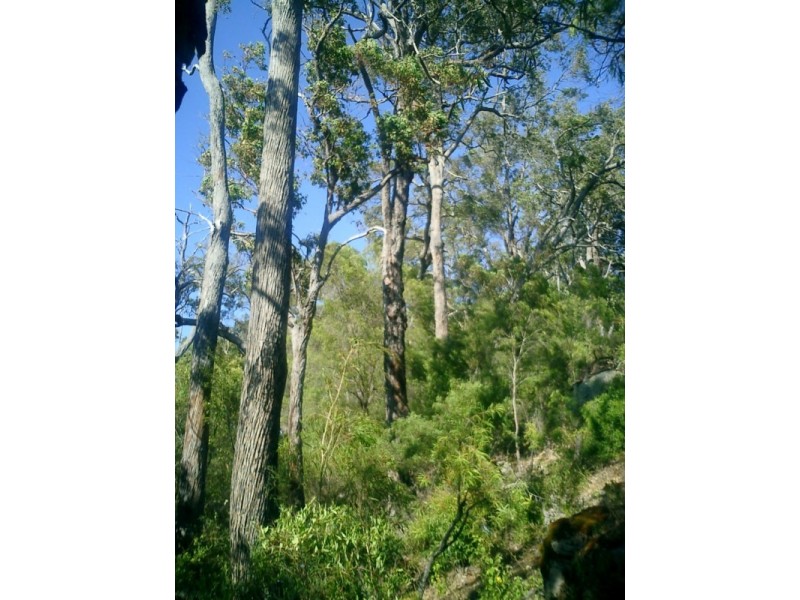 107 Horseford Road, Margaret River WA 6285