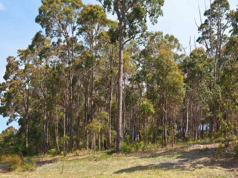 20 Riverslea Drive, Margaret River WA 6285