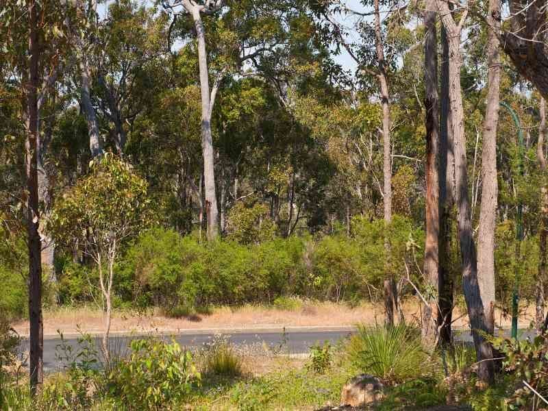 20 Riverslea Drive, Margaret River WA 6285