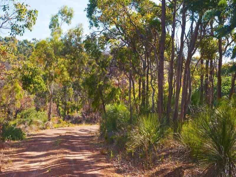 20 Loaring Place, Margaret River WA 6285