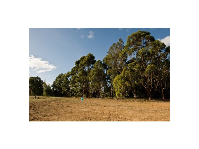 Ashton Street, Margaret River WA 6285