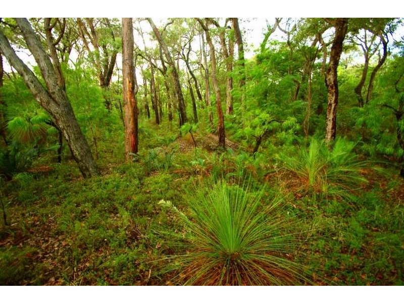 3 Dunkley Close, Molloy Island WA 6290