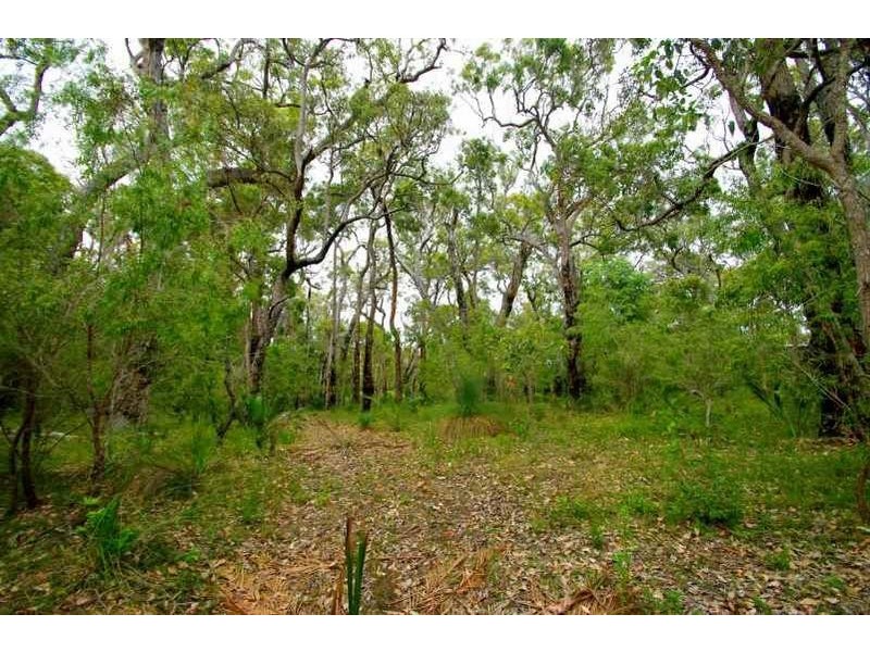 3 Dunkley Close, Molloy Island WA 6290