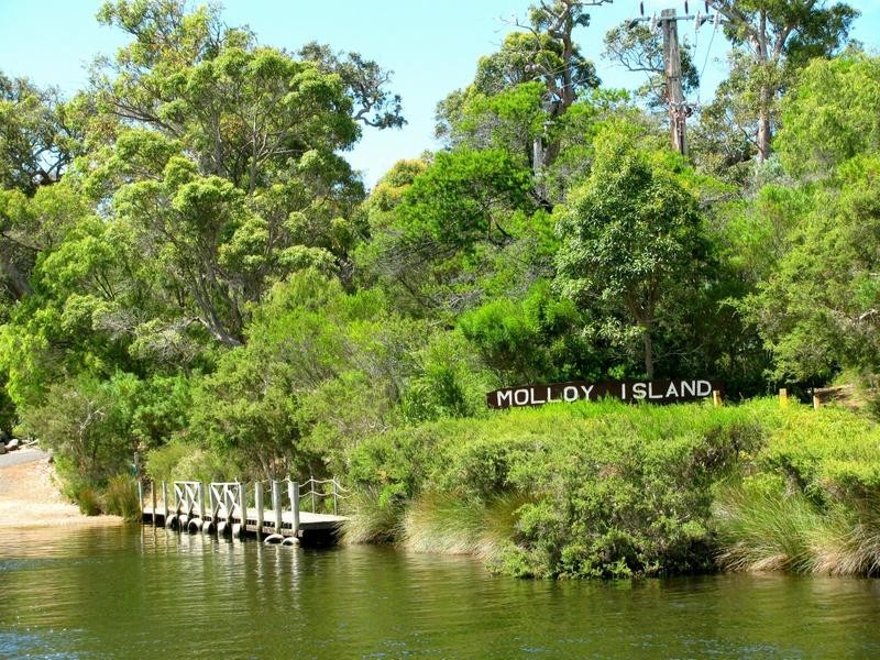 3 Dunkley Close, Molloy Island WA 6290