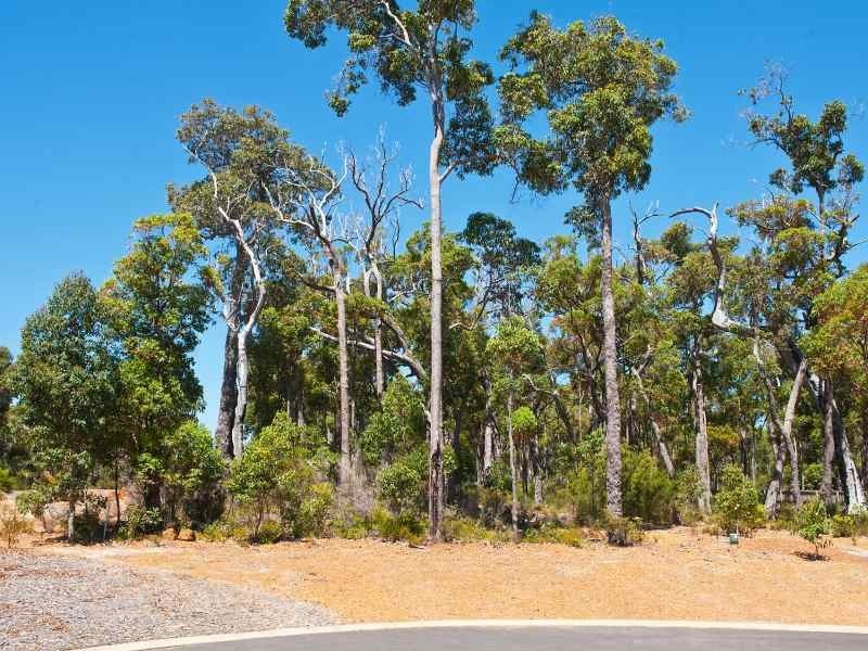 Lot 62, 20 Timber Court, Cowaramup WA 6284